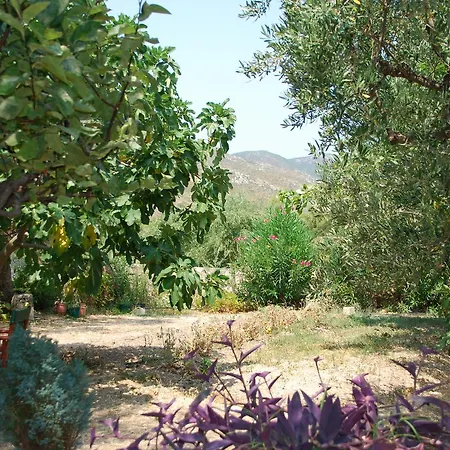 Anatoli Labreon Agia Marina