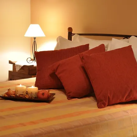 Anatoli Labreon 게스트하우스