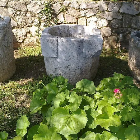 Anatoli Labreon 4* Agia Marina (Zakynthos)