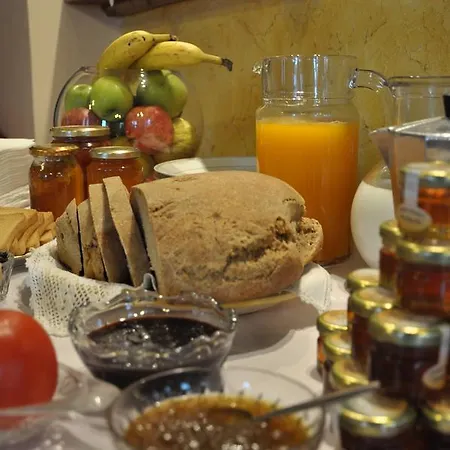 Anatoli Labreon 게스트하우스