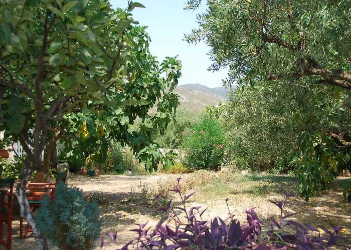 Anatoli Labreon Agia Marina (Zakynthos)